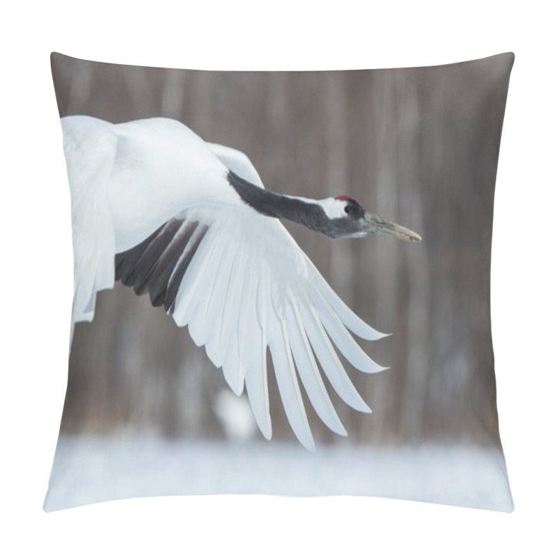 Personality  Red Crowned Cranes (grus Japonensis) In Flight With Outstretched Wings, Winter, Hokkaido, Japan, Japanese Crane, Beautiful Mystic National White And Black Birds, Elegant Animal, Wildlife Scene Pillow Covers