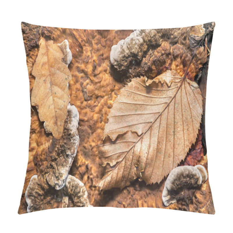 Personality  Mushrooms And Leaves On The Tree Trunk In The Forest Pillow Covers