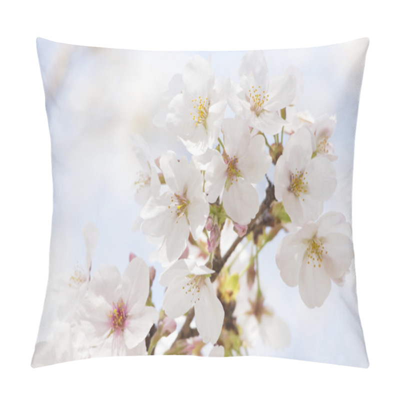 Personality  Cherry Blossom Flowers Pillow Covers