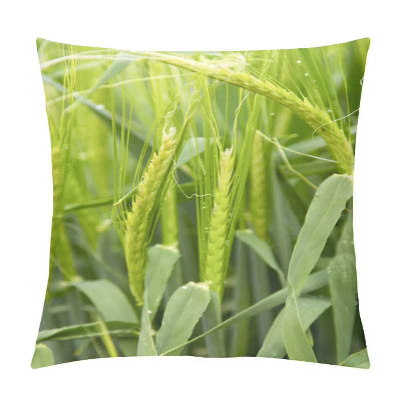 Personality  Fresh Green Wheat Pillow Covers