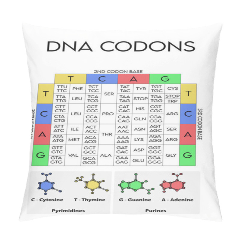 Personality  Table Of DNA Codons - Genetic Biological Code Of Amino Acids. Amino Acid Sequence Chart With Nitrogenous Base Icons - Guanine, Adenine, Cytosine, Thymine Pillow Covers