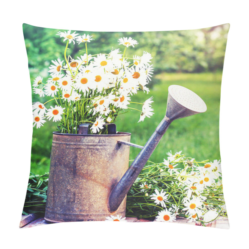 Personality  Fresh Cut Chamomiles Flowers In Watering Can In Garden Pillow Covers