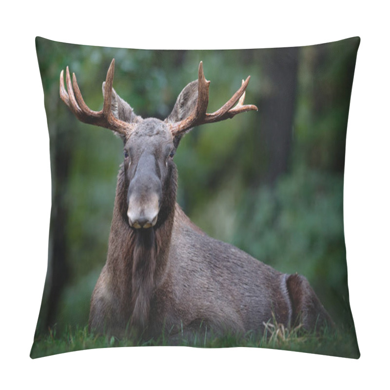 Personality  Eurasian Elk In Dark Forest Pillow Covers