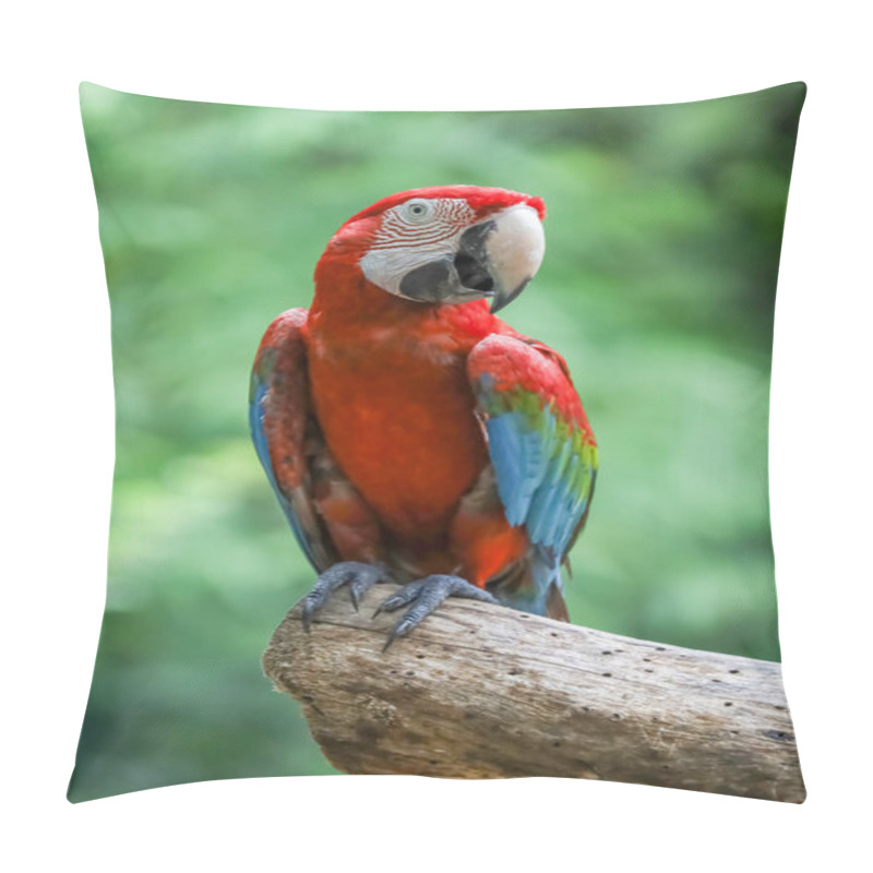 Personality  Close Up Head The Red Macaw Parrot Bird In Garden Pillow Covers