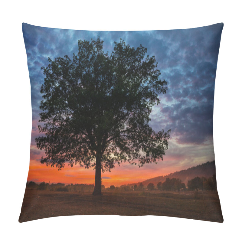 Personality  Oak Tree At Sunset In Autumn Pillow Covers