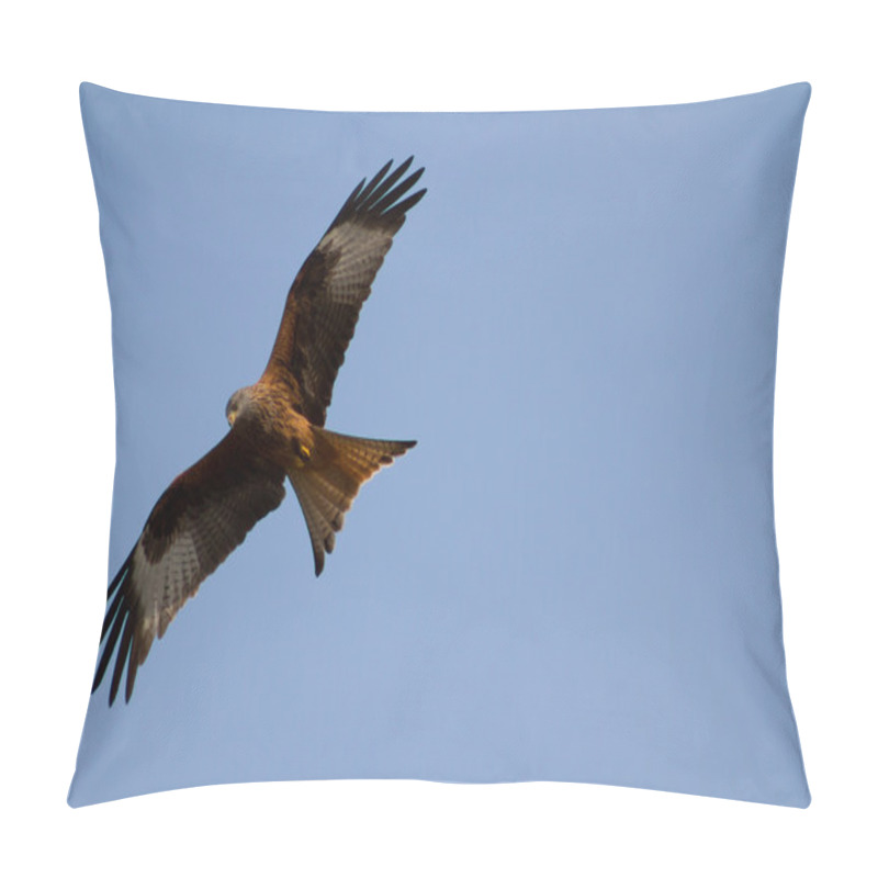 Personality  Red Kite - Bird Of Prey Pillow Covers