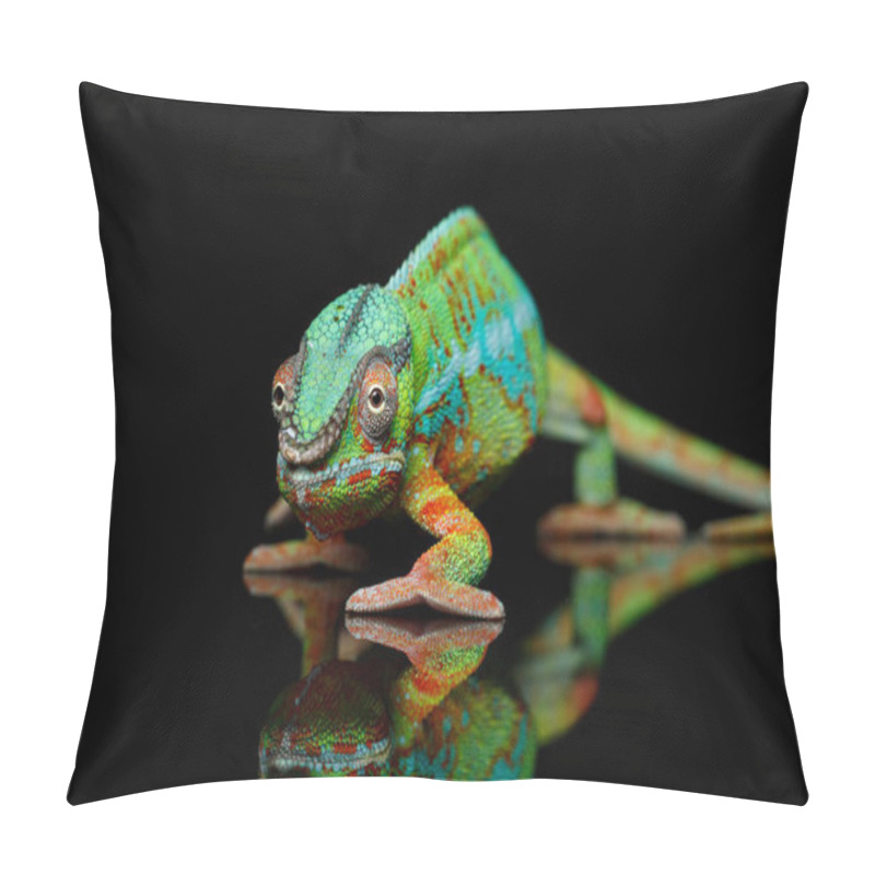 Personality  Alive Chameleon Reptile Pillow Covers