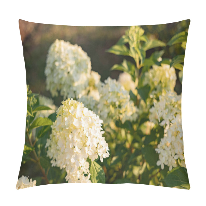 Personality  Bush Of Blossoming Cultivar Hydrangea Paniculata Limelight. Beautiful Branches With White Flowers In Summer Garden Pillow Covers