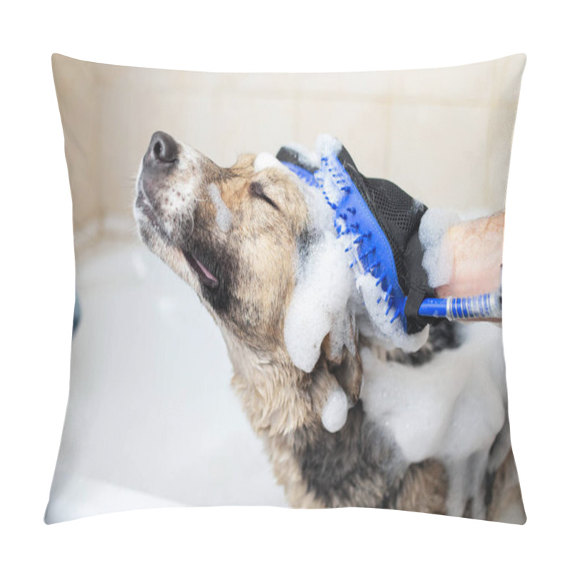 Personality  Side View Of A Mixed Breed Shepherd Dog Taking A Shower With Soap And Water Pillow Covers