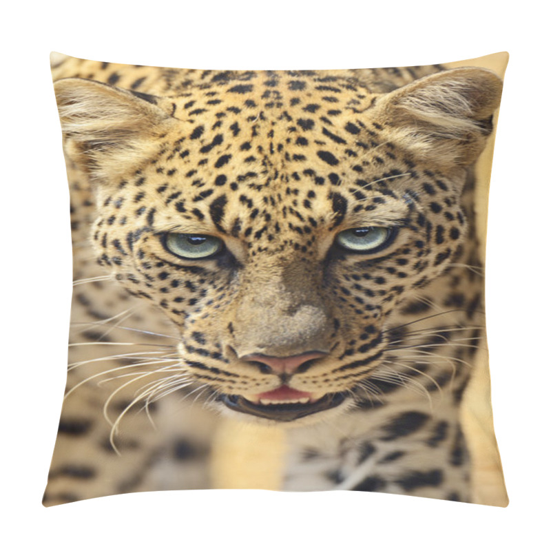 Personality  Leopard Pillow Covers