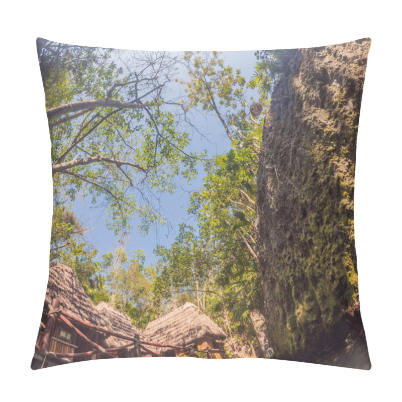 Personality  Scenic Cenote In Xcaret Park Surrounded By Lush Jungle. Natural Beauty, Eco-tourism, And Adventure Travel Concept In Quintana Roo, Mexico. Pillow Covers