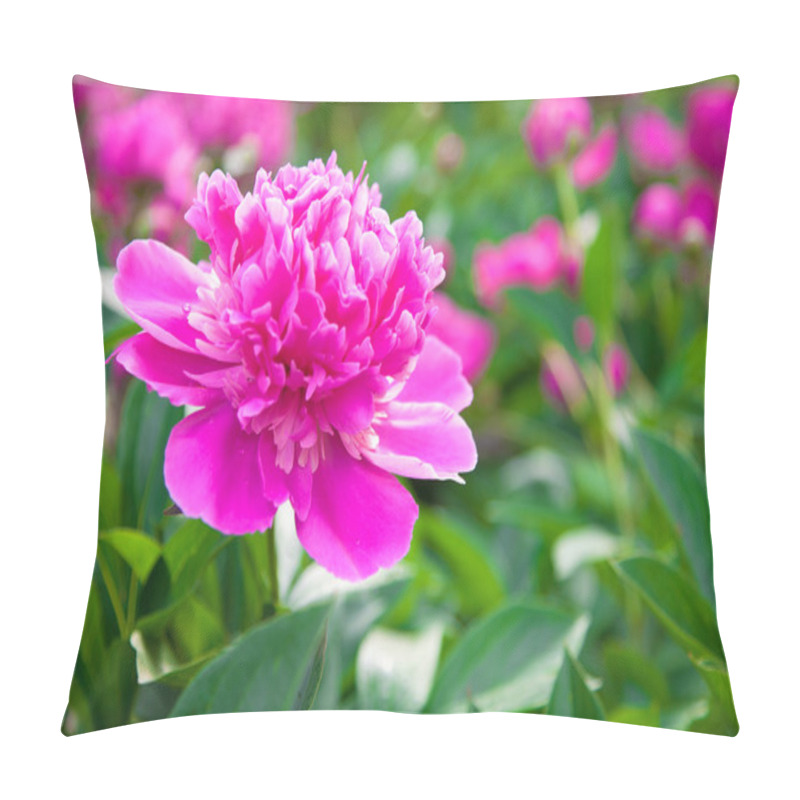 Personality  Peony Blossoms Pillow Covers