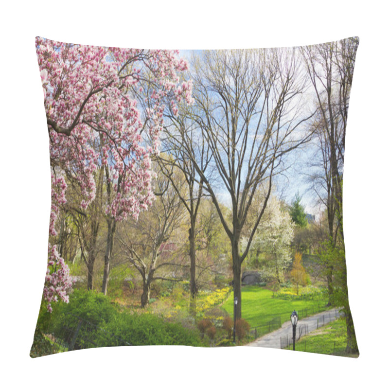 Personality  Central Park Spring Landscape NYC Pillow Covers