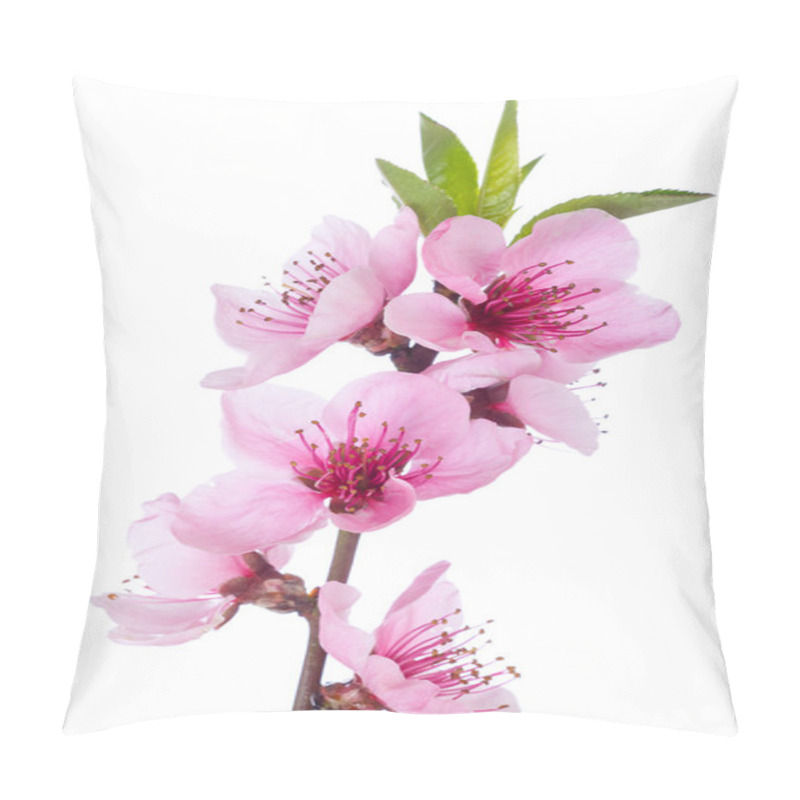 Personality  Blooming Tree In Spring With Pink Flowers Pillow Covers