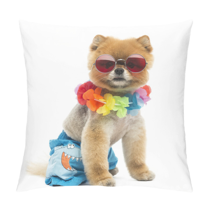 Personality  Pomeranian Dog Sitting, Wearing Shorts, Hawaiian Lei, Short, Red Pillow Covers