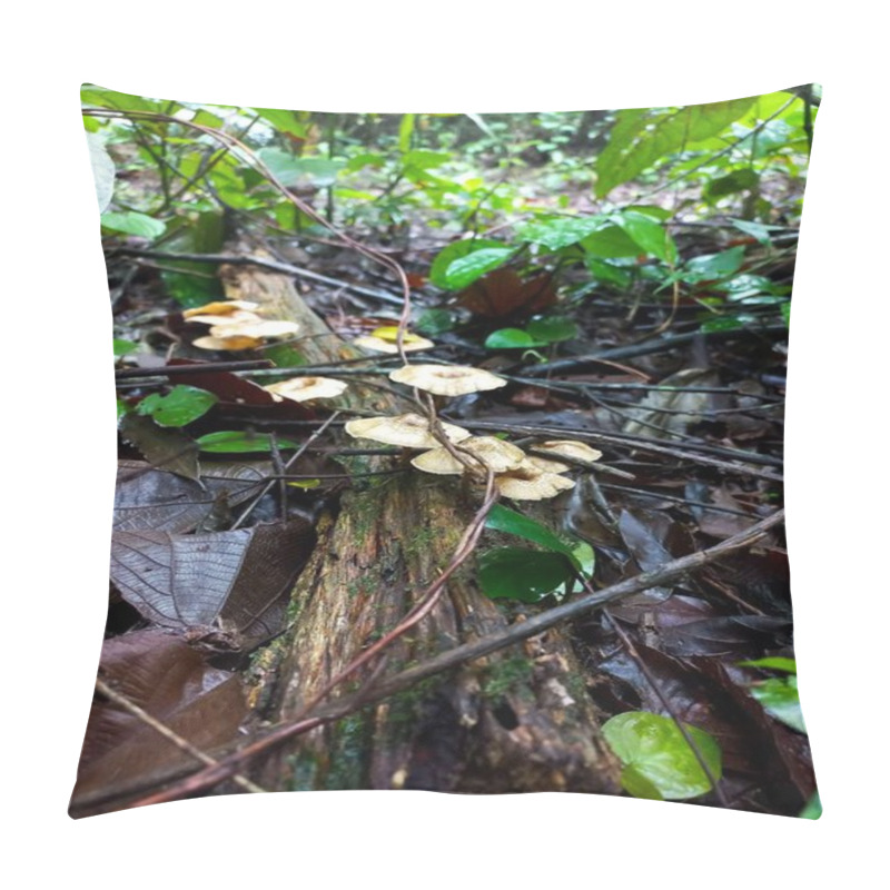 Personality  Several Beige-toned Mushrooms Growing On A Fallen Log In The Forest, With Green Leaves And Branches Around. Focus On Native Vegetation And Natural Light. Pillow Covers