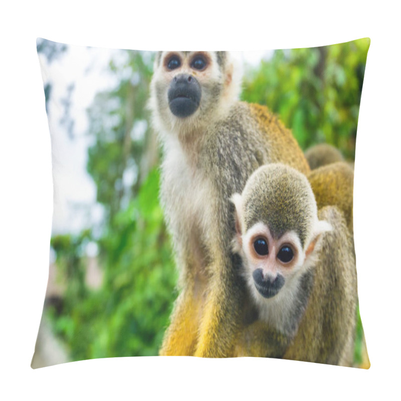 Personality  Pair Of Squirrel Monkeys Pillow Covers