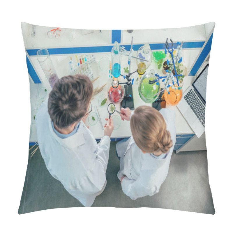 Personality  Biologists Working In Lab With Tubes Pillow Covers