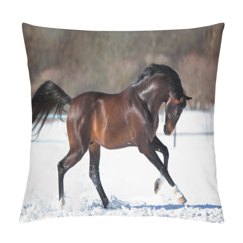 Personality  Brown Horse Running In The Snow Pillow Covers