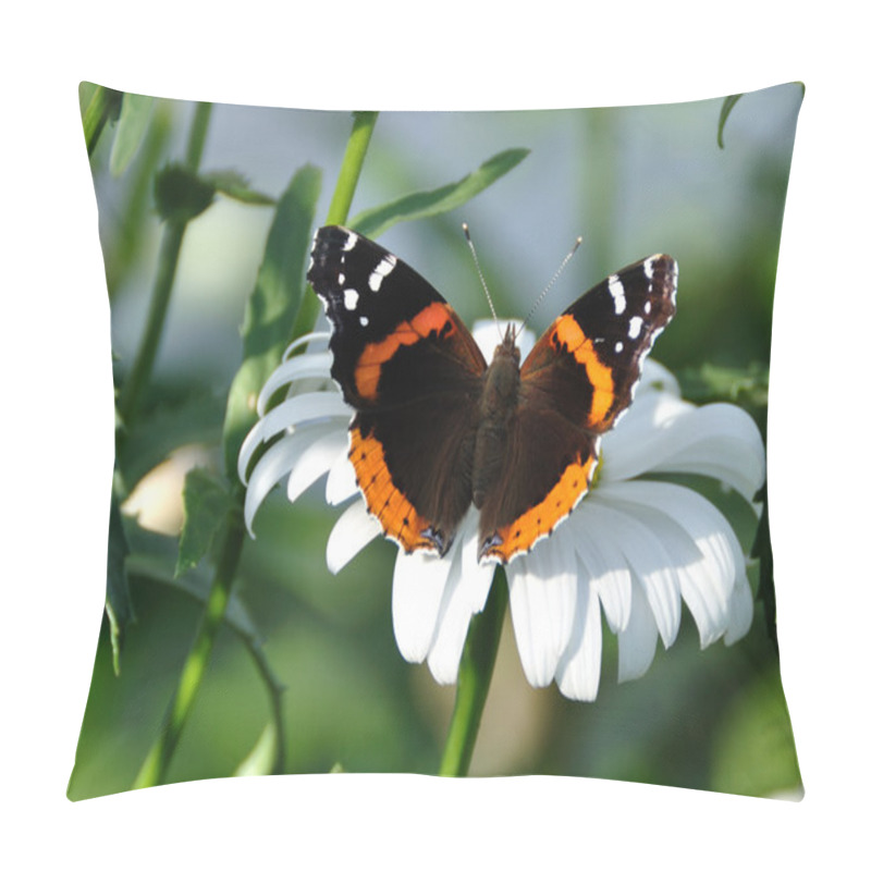 Personality  Red Admiral Butterfly On A Shasta Daisy Pillow Covers