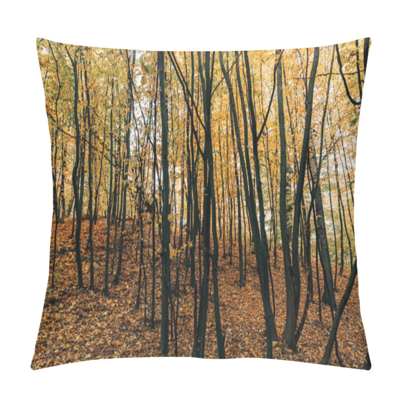 Personality  Yellow Autumn Leaves On Tree Branches In Forest  Pillow Covers