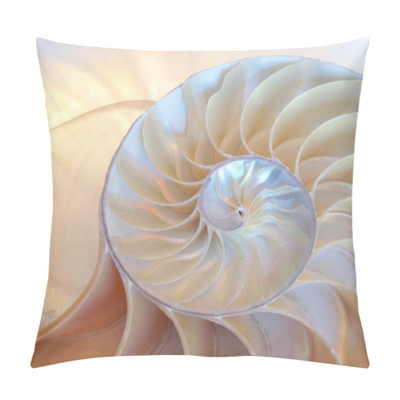 Personality  Nautilus Shell Symmetry Fibonacci Half Cross Section Spiral Golden Ratio Structure Growth Close Up Back Lit Mother Of Pearl Close Up Stock, Photo, Photograph, Image, Picture, Pillow Covers