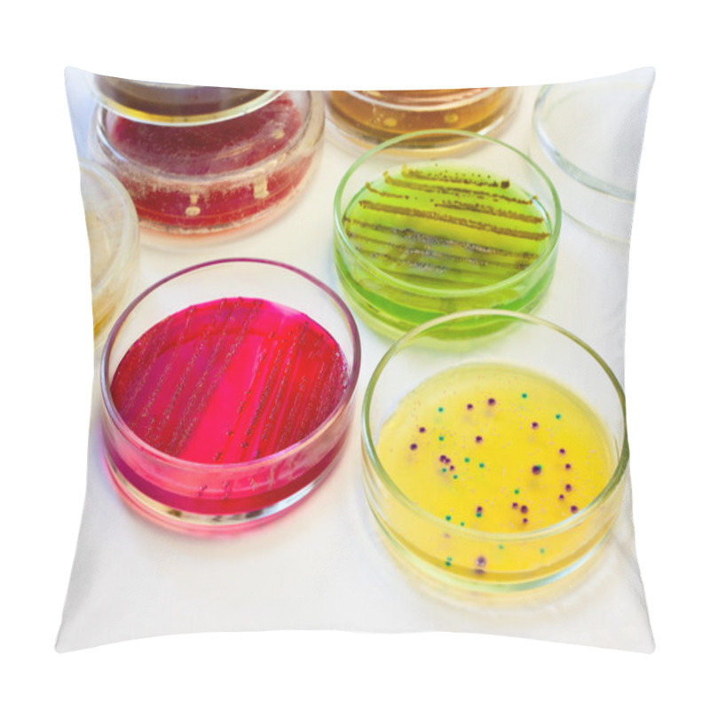 Personality  Petri Dishes With Bacterial Colonies Pillow Covers