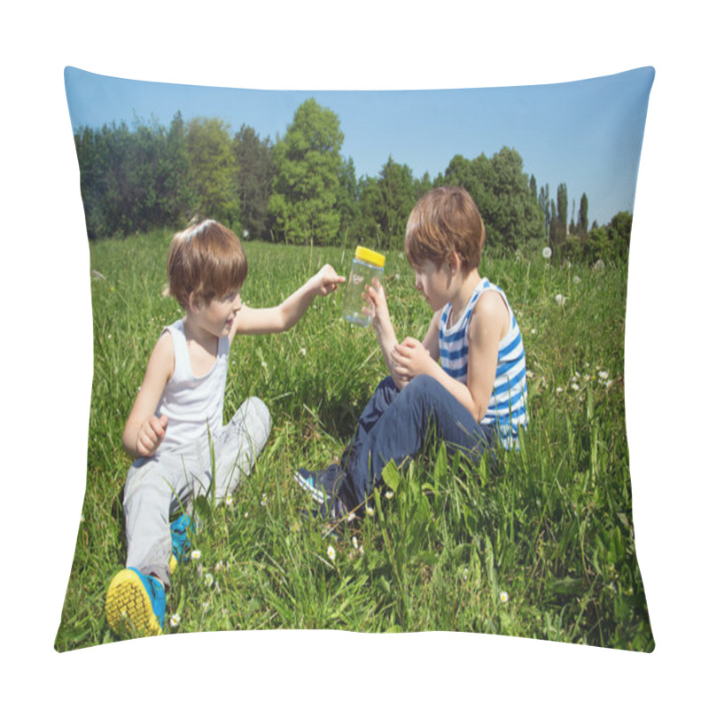 Personality  Little Boy Showing His Twin Brother A Butterfly In Glass Jar While Sitting In A Grass At Sunny Day Pillow Covers