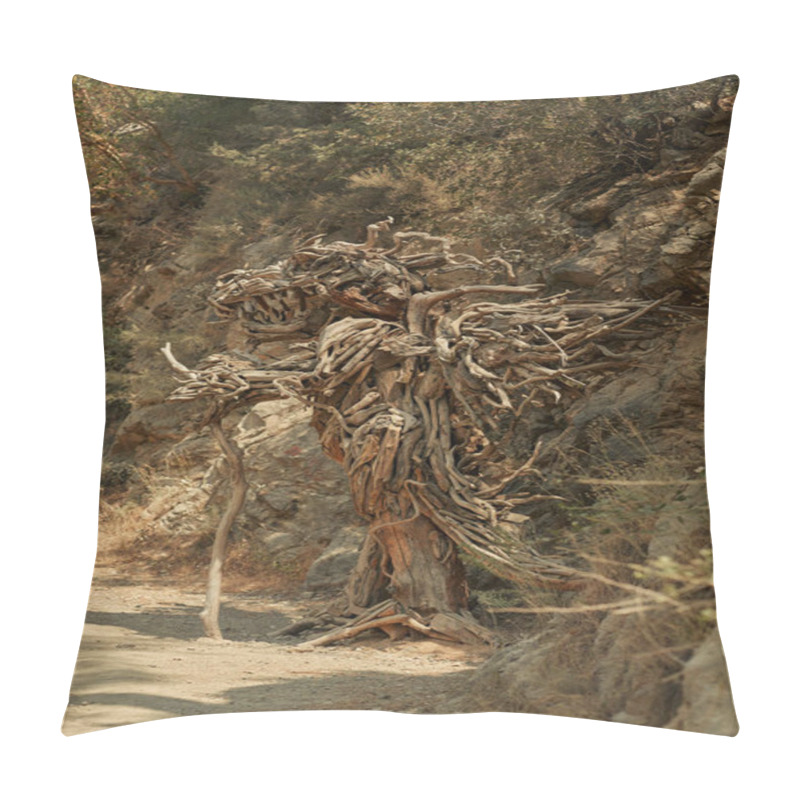 Personality  An Elaborate Driftwood Sculpture Resembling A Mythical Creature Stands Along A Natural Path In Goynuk Canyon, Turkey. Perfect For Promoting Eco-art, Outdoor Installations, And Nature-inspired Art Pillow Covers