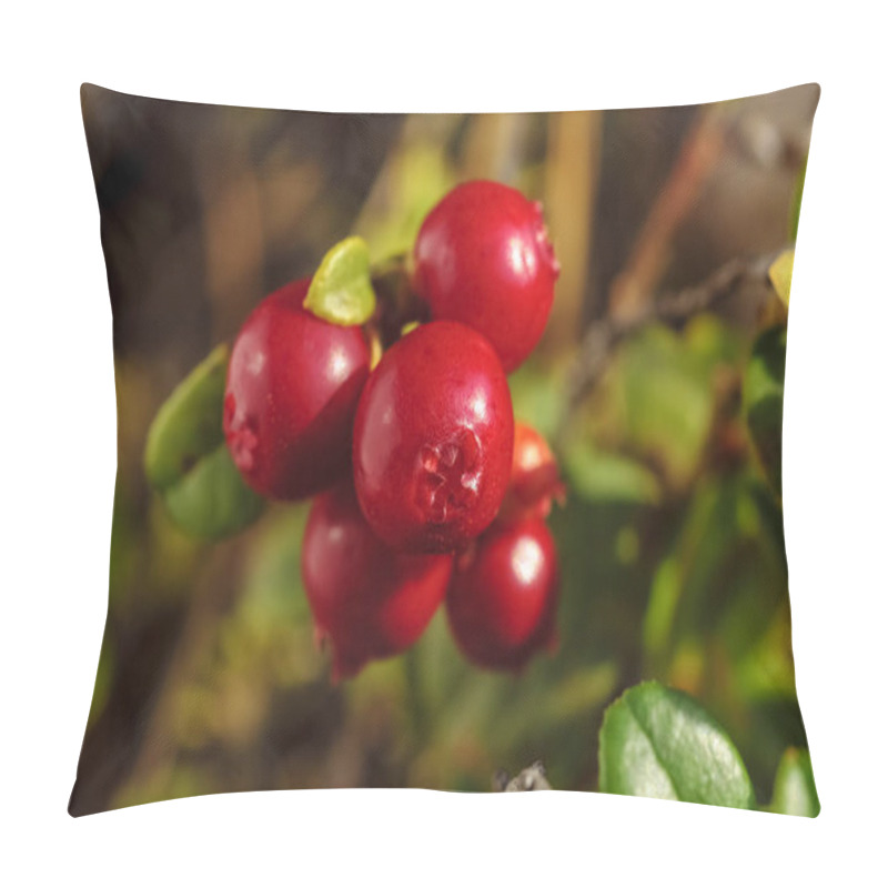 Personality  Wild Ripe Red Lingonberries In Forest Close Up Pillow Covers