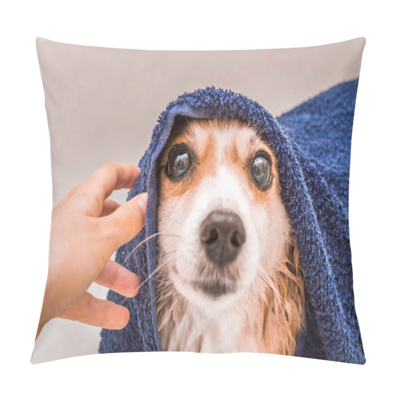 Personality  Muzzle Wet Dog After Swimming Wrapped In A Blue Terry Towel In The Bathroom Pillow Covers