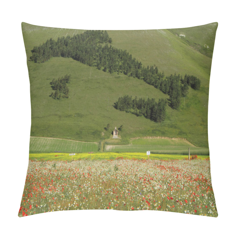 Personality  Forest In Shape Of Italy And Field Of Poppies Pillow Covers