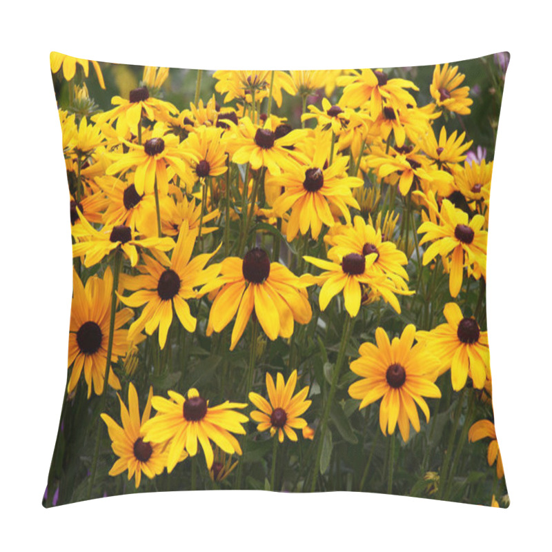 Personality  Rudbeckia In Yellow Tones Create The Big Bright Stain In A Garden. Pillow Covers