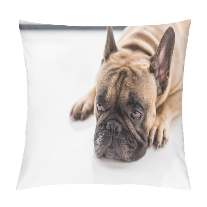 Personality  French Bulldog   Pillow Covers