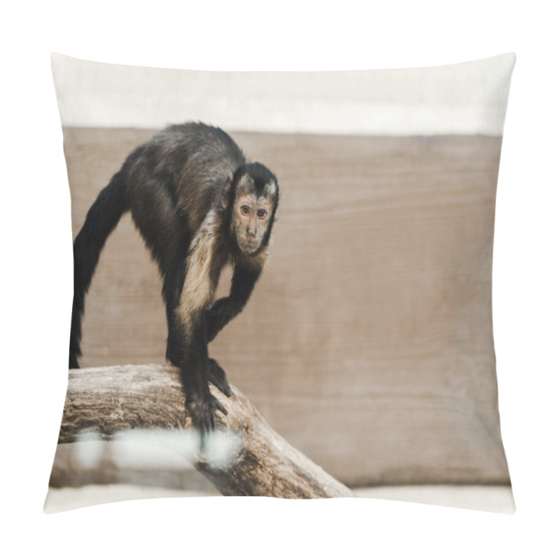 Personality  Selective Focus Of Chimpanzee In Zoo  Pillow Covers