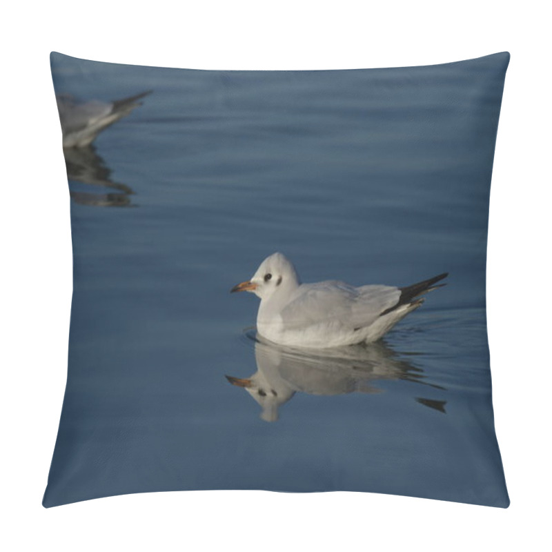 Personality  Black-headed Gull - (Chroicocephalus Ridibundus)  Pillow Covers