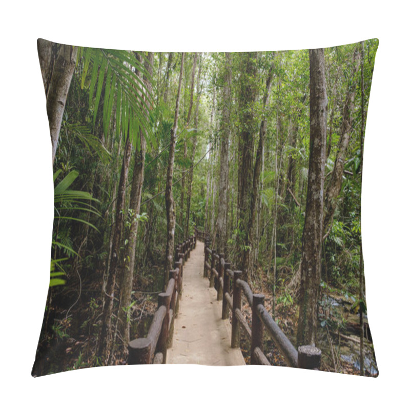 Personality  Southeast Asian Tropical Rainforest With Path, Thailand. Jungle Landscape. Idea And Concept Of Adventure, Recreation From The Noise Of The City Pillow Covers