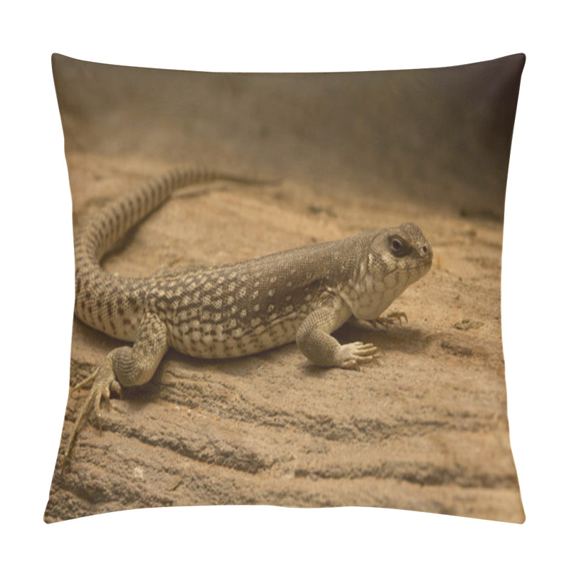 Personality  Desert Iguana (Dipsosaurus Dorsalis). Pillow Covers