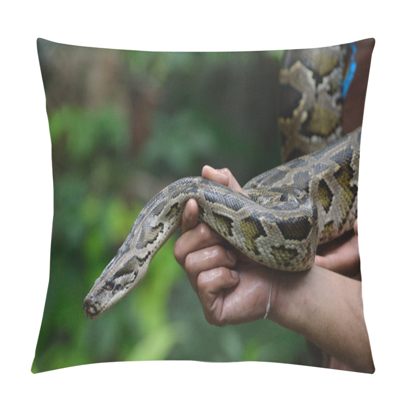 Personality  Python Pillow Covers