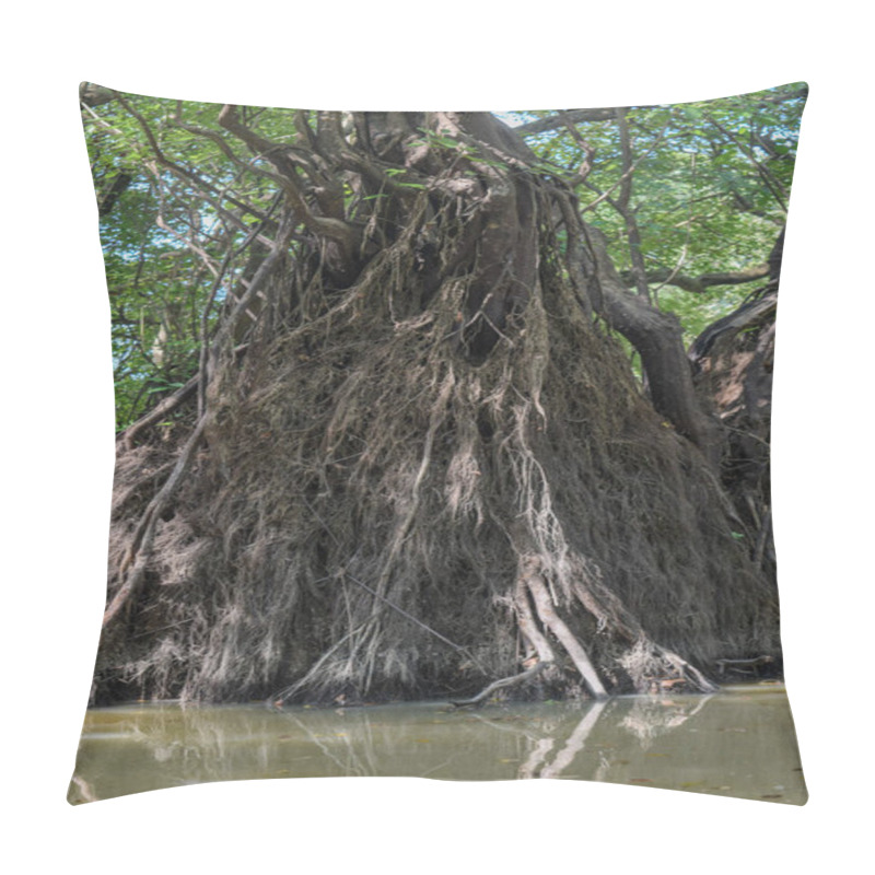 Personality  A Striking View Of Large Tree Roots Extending Above The Water's Surface In A Vibrant Wetland Ecosystem, Highlighting The Intricate Connection Between Flora And Aquatic Environments. Pillow Covers