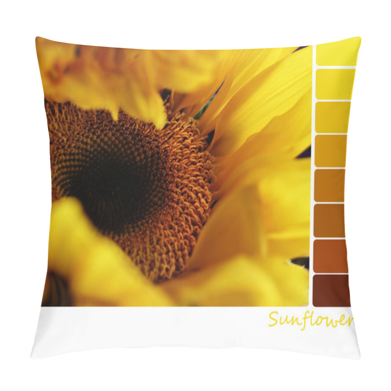 Personality  Sunflower Palette Pillow Covers