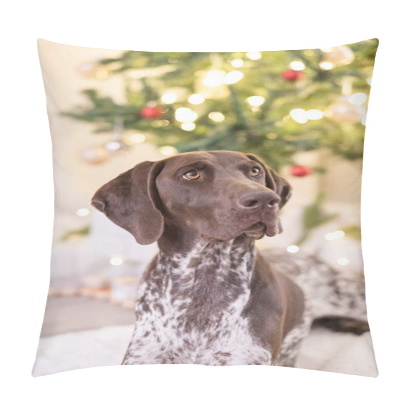 Personality  German Shorthair Pointer Laying Down In Front Of Christmas Tree Pillow Covers