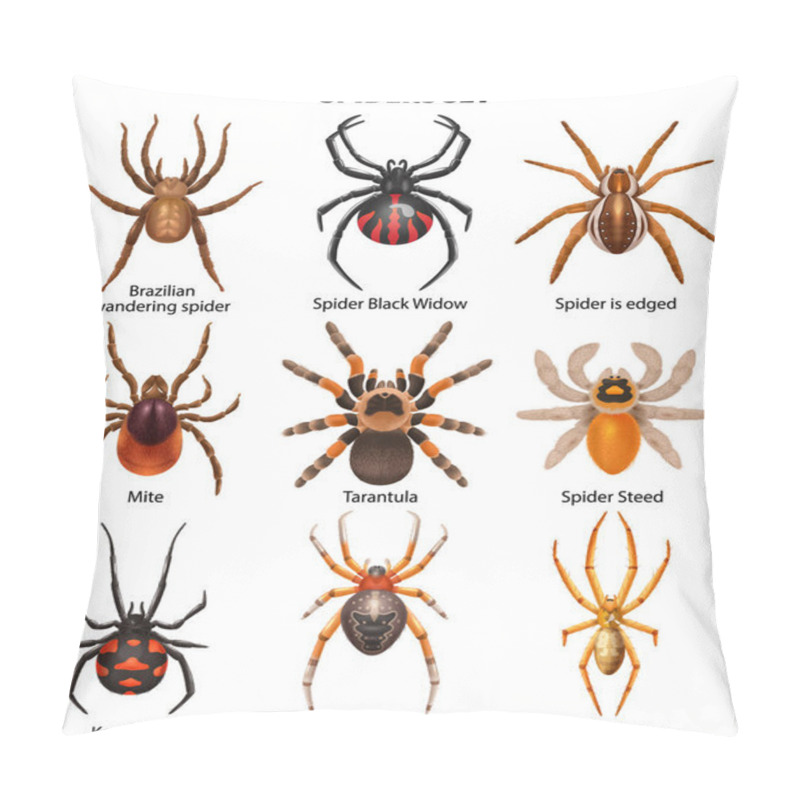 Personality  Realistic Spiders Set Of Isolated Icons With Isolated Top View Images Of Insects With Text Captions Vector Illustration Pillow Covers