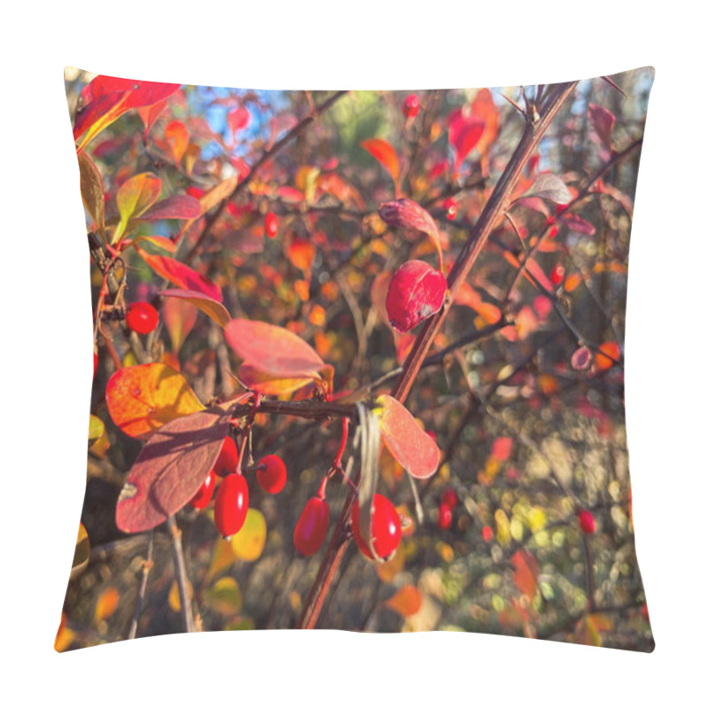 Personality  Image Of Autumn Foliage Branch With Ripe Red Berries, Indicating Fall Season. A Pillow Covers