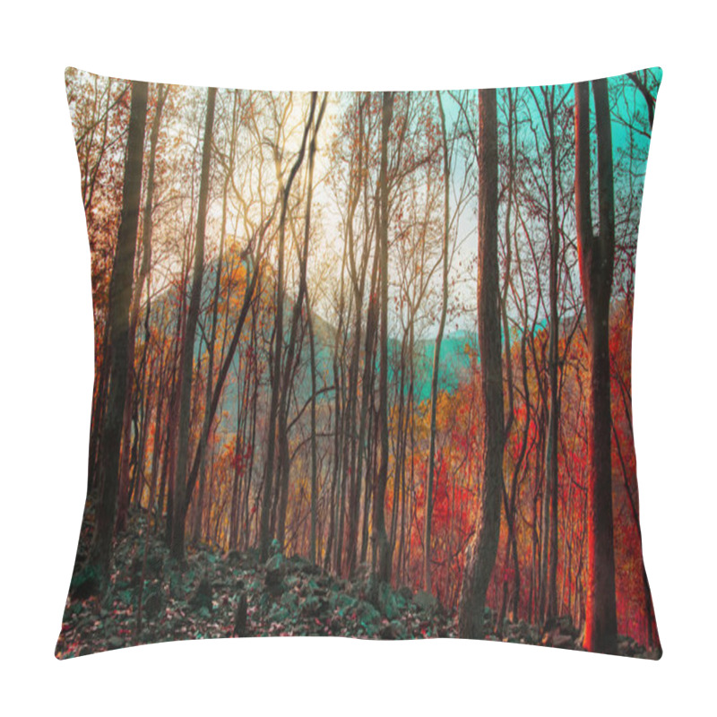 Personality  Forest Trees. Nature Green Wood Warm Tone Of Summer Season With Sunset And Mountain Background In Thailand  Pillow Covers