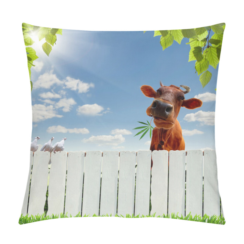 Personality  Cow With Marijuana Over The Fence Pillow Covers