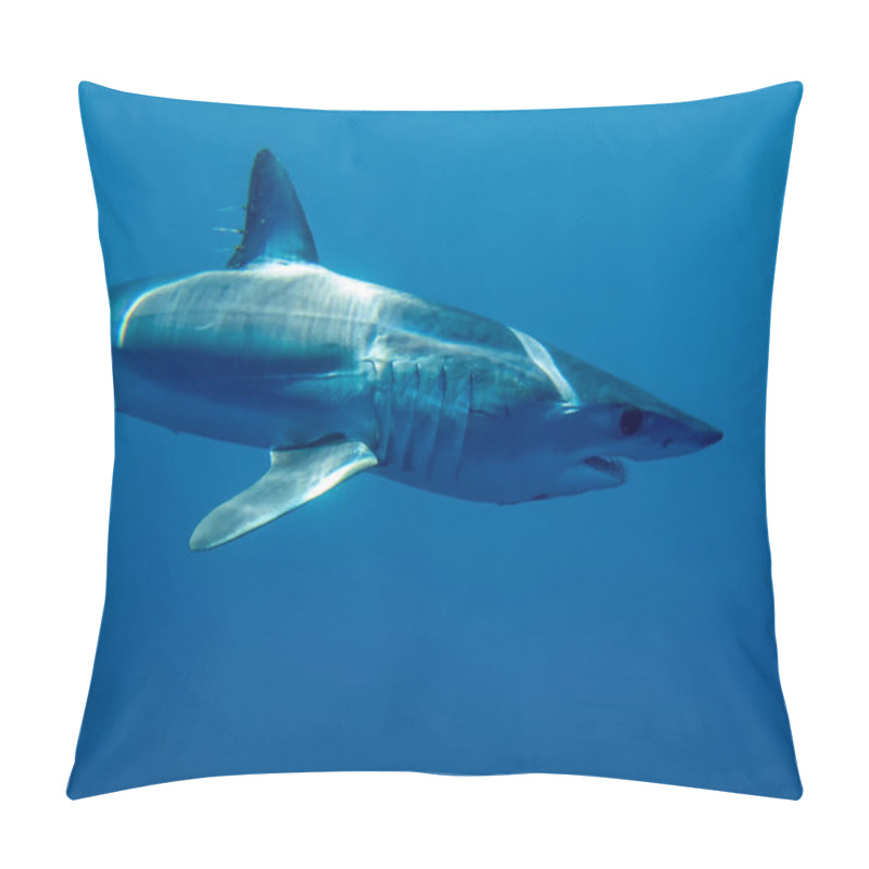 Personality  Mako Shark (Isurus Oxyrinchus) In Baja California, Mexico Pillow Covers