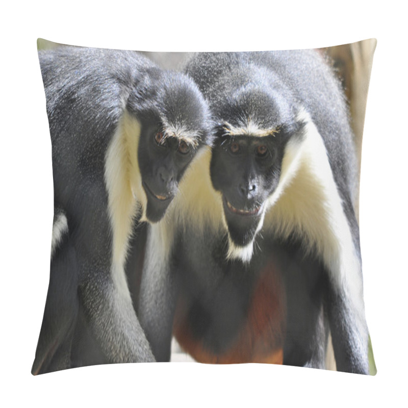 Personality  Smiling Monkey Pillow Covers