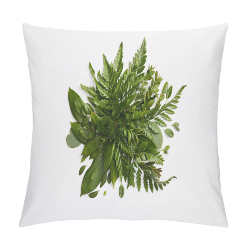 Personality  Composition Of Fresh Green Fern Leaves Isolated On Grey Background Pillow Covers