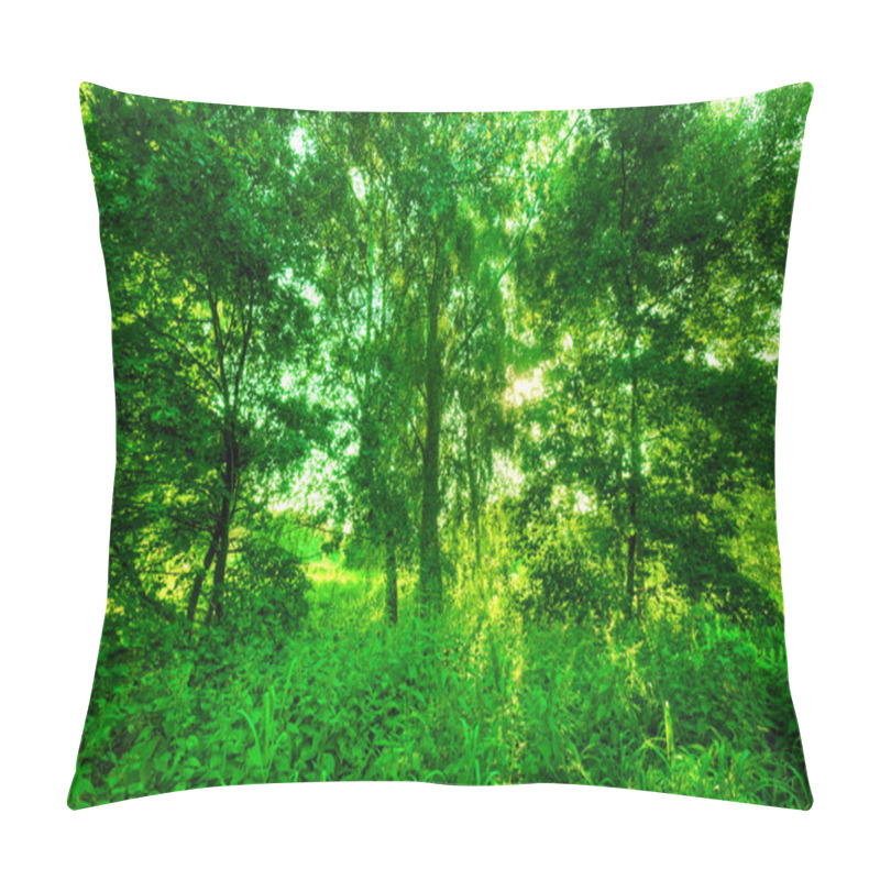 Personality  Green Summer Park. Pillow Covers